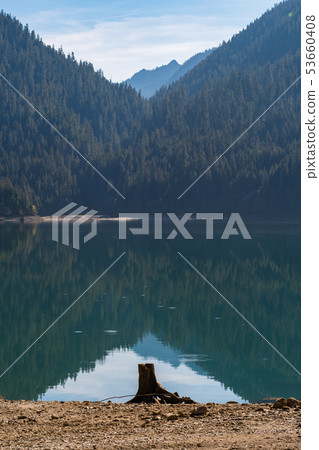 Tree stump on the dry shore of Baker Lake in North Cascades Tree stump on the dry shore of Baker Lake in North Cascades 53660408