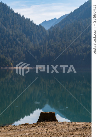 Tree stump on the dry shore of Baker Lake in North Cascades Tree stump on the dry shore of Baker Lake in North Cascades 53660413