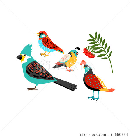 Colorful biirds set Colorful biirds set 53660784