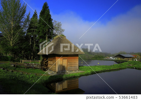 山口的水磨坊在春天 53661483