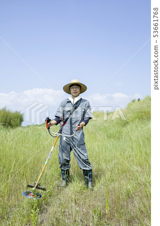 除草圖像,除草圖像 除草圖像,除草圖像 53661768