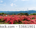 Azalea of Takashimayama 53661901