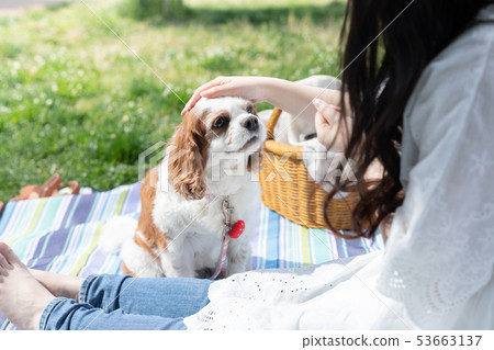 少婦野餐寵物 少婦野餐寵物 53663137