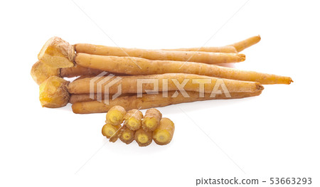 finger root (Krachai) Thai herb an isolated on finger root (Krachai) Thai herb an isolated on 53663293