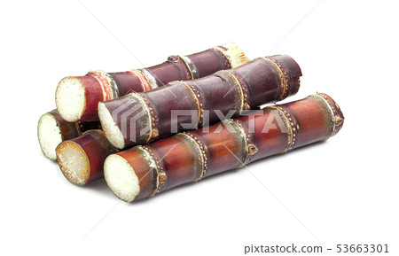 Sugar cane an isolated on white background 53663301
