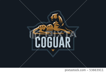 The image of a cheetah. The image of a cheetah. 53663911