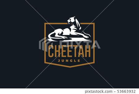 The image of a cheetah. The image of a cheetah. 53663932