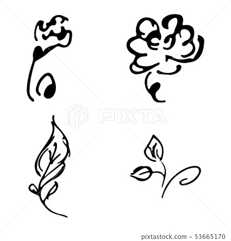 Flowers and branches hand drawn doodle collection 53665170