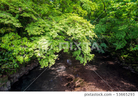 scenery scenery 53665293