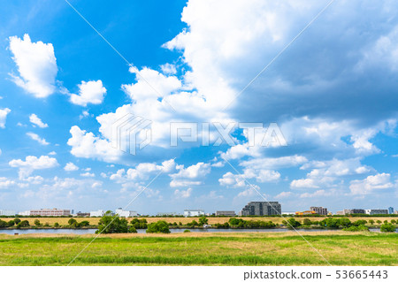 Large summer / riverbed in early summer Large summer / riverbed in early summer 53665443