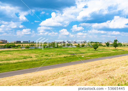 Large summer / riverbed in early summer Large summer / riverbed in early summer 53665445