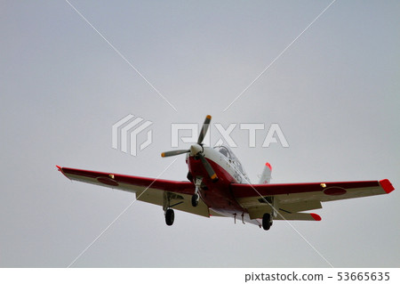 軍隊 蒼蠅 飛翔 53665635