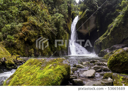 Waterfall Savegre River, Los quetzales national pa 53665689