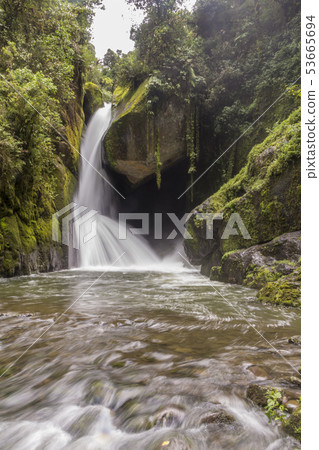 Waterfall Savegre River, Los quetzales national pa 53665694