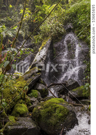 Waterfall Savegre River, Los quetzales national pa 53665695