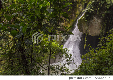 Waterfall Savegre River, Los quetzales national pa Waterfall Savegre River, Los quetzales national pa 53665696