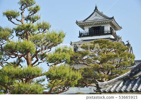 Kochi castle tower Kochi castle tower 53665915