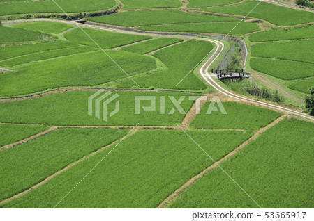 Rural landscape of Tanso-so Ozaki Bungotakada city Oita 53665917