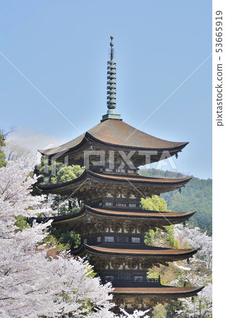 Shoko-ji Temple National Treasure Five-storied Pagoda Shoko-ji Temple National Treasure Five-storied Pagoda 53665919