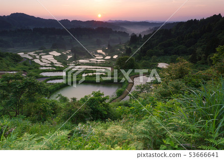 Star Pass Star Pass 53666641