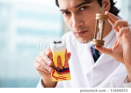Male doctor stomatologist working in the clinic  53666655