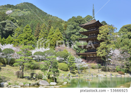 Shoko-ji Temple國寶五重塔 53666925