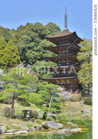 Shoko-ji Temple國寶五重塔 53666926