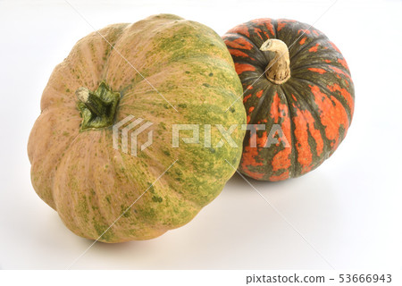 Pumpkin, colorful climbing vine fruit Pumpkin, colorful climbing vine fruit 53666943
