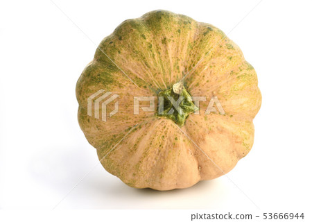 南瓜,多彩爬藤瓜類果實 南瓜,多彩爬藤瓜類果實 53666944