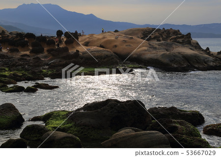 台北一日遊觀光景點Noyanagi 台北一日遊觀光景點Noyanagi 53667029