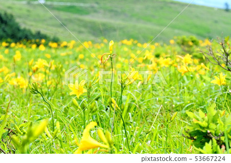 Impression of plateau Impression of plateau 53667224