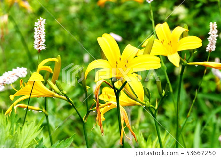 Impression of plateau Impression of plateau 53667250