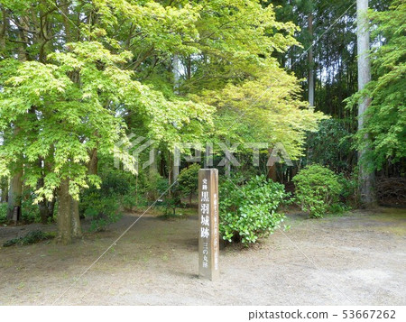 Kurohajo Minomaru追踪 Kurohajo Minomaru追踪 53667262