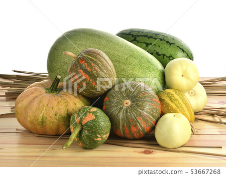 南瓜,西瓜,香瓜,多彩爬藤瓜類果實 南瓜,西瓜,香瓜,多彩爬藤瓜類果實 53667268
