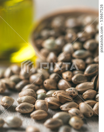 Hemp seeds and hemp oil, copy space 53667526