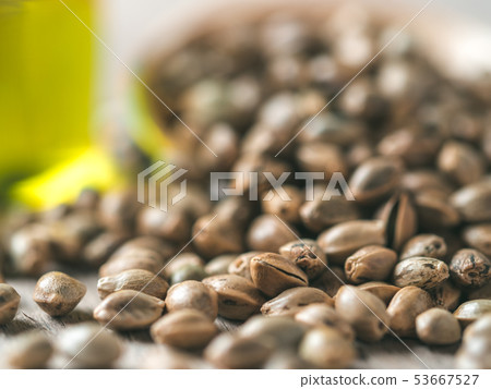 Hemp seeds and hemp oil, copy space 53667527