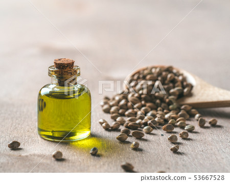 Hemp seeds and hemp oil, copy space 53667528