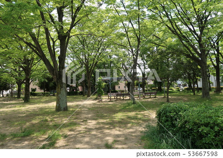 An empty park 53667598