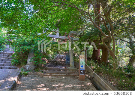 茨城縣的Hyakumeizan筑波山（Miyukigahara路線的入口） 53668108