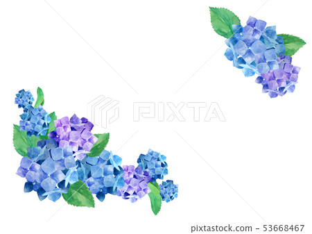 Hydrangea frame background - Stock Illustration [53668467] - PIXTA