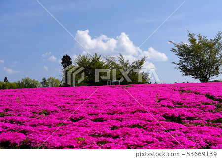 Soseki Lara Club的Shizukuishi 53669139