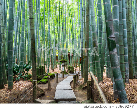 鎌倉Hogokuji竹園 鎌倉Hogokuji竹園 53669277
