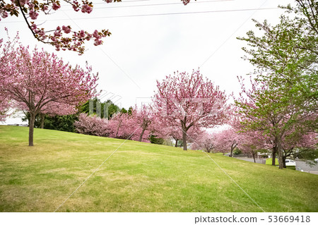 Kasama Art Forest Park Craft Hill Kasama Art Forest Park Craft Hill 53669418