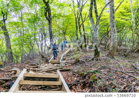 Mountain trail in fresh green Mountain trail in fresh green 53669710
