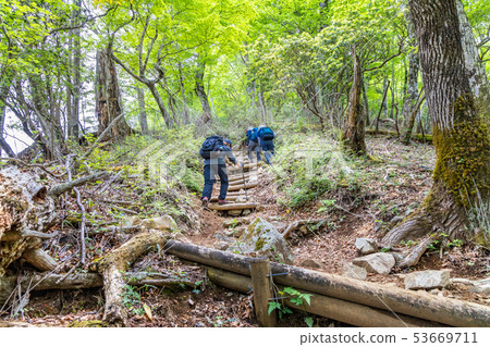 Mountain trail in fresh green Mountain trail in fresh green 53669711