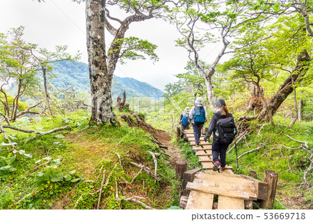 山路以新綠色 山路以新綠色 53669718