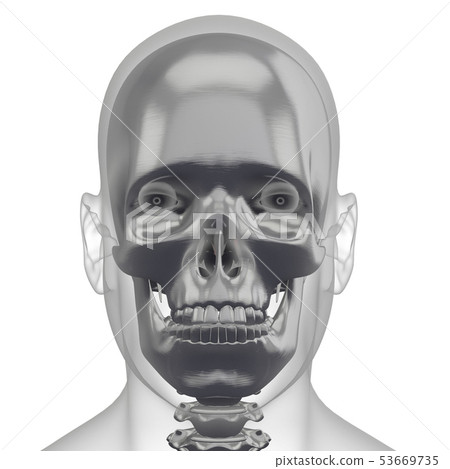 3d rendering of skull - Stock Illustration [53669735] - PIXTA