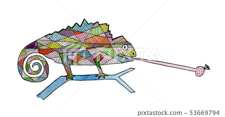 chameleon 53669794