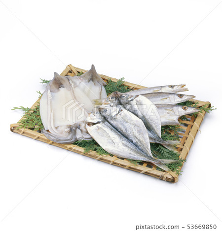 乾魚 - 隔夜乾燥 - 馬鯖魚 - 魷魚背飛影壹岐 乾魚 - 隔夜乾燥 - 馬鯖魚 - 魷魚背飛影壹岐 53669850