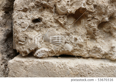 Stone material of rock dwellings Matera Italy 53670316